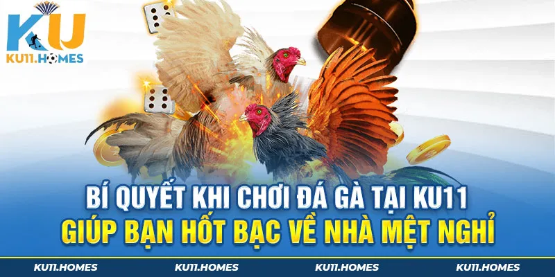 Bí quyết khi chơi đá gà tại Ku11 giúp bạn hốt bạc về nhà mệt nghỉ