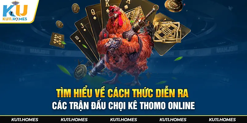 Tìm hiểu về cách thức diễn ra các trận đấu chọi kê Thomo online