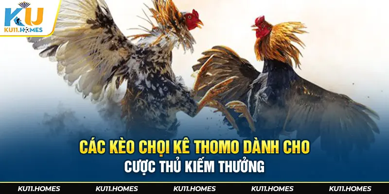 Các kèo chọi kê Thomo dành cho cược thủ kiếm thưởng