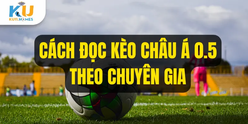 Cách đọc kèo châu Á 0.5 theo chuyên gia