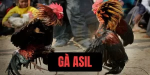 ga-asil