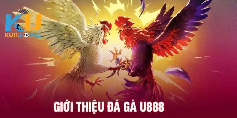 Đá Gà U888 mang đến những trận đấu đầy kịch tính